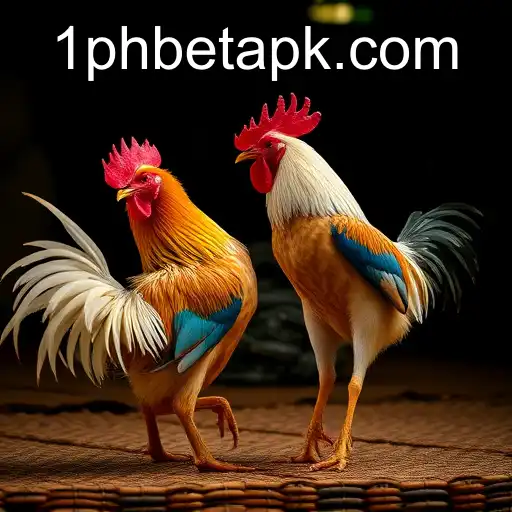 Discovering the World of Sabong Games with 1phbet